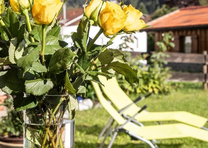 Neu! Sonnige Terrassen-ferienwohnung In Den Bergen